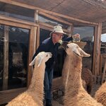 Photo taken by Jeff G