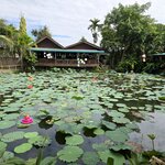 Photo taken by Katie W