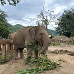 Photo taken by Dianne M