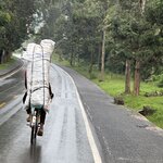 Photo taken by Fuad A