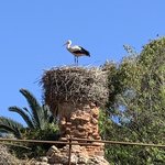 Photo taken by Eileen S