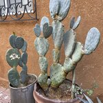 Photo taken by Martha H