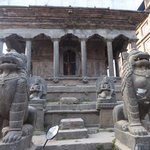 Photo taken by Arpita D