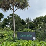 Photo taken by Jill M