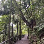 Photo taken by Kate R