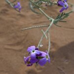 Photo taken by bala s