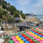 Photo taken by Mark C