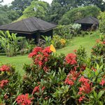 Photo taken by Victoria C