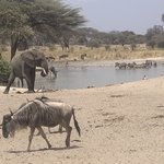 Photo taken by Kristin M