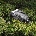 Photo taken by Vinay K