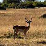 Photo taken by Tom B