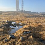 Photo taken by Laura O