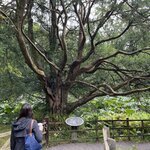 Photo taken by Sullivan S