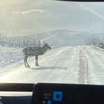 Photo taken by Sara L