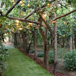 Photo taken by Kris B