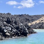 Photo taken by Sharon H