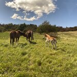 Photo taken by Carmen P