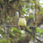 Photo taken by Patricia D