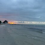 Photo taken by Imogen E