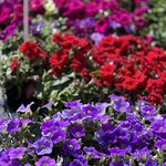 Photo taken by Martin D