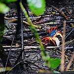 Photo taken by Andy H