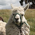 Photo taken by Marcia G