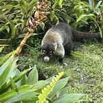 Photo taken by Kristen L