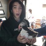 Puffin tour  | Photo taken by Jana P