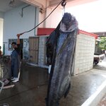 Photo taken by Jason P