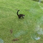 Photo taken by Alda Bernice M