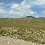 Photo taken by Allison O