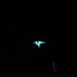 Photo taken by Brett F