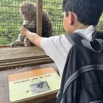 Photo taken by Andrea C