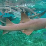 Photo taken by LaTasha J