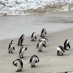 Photo taken by rhonda c