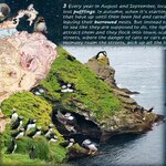 Photo taken by Dean K