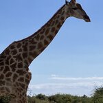 Photo taken by rhonda c