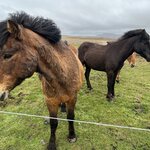 Photo taken by Tom B