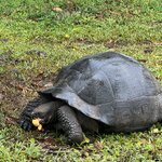 Photo taken by Cathy V