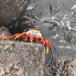 Photo taken by Ben S