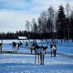 Photo taken by Bianca C