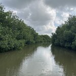 Photo taken by Diana L