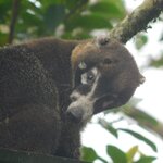 Photo taken by Brett F