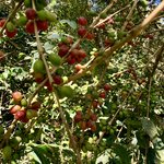 Photo taken by Flaminia R