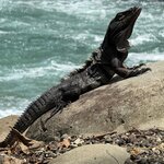 Photo taken by Dana F