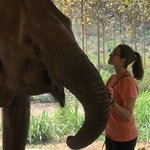 Photo taken by Terri M