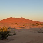 Photo taken by Mark W