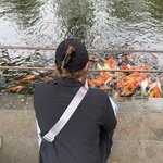 Photo taken by Lisa M