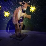 Photo taken by Tommy B