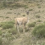 Photo taken by SANDRA V